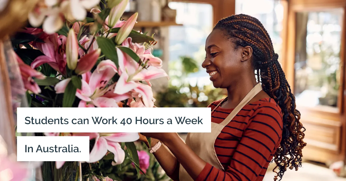 Student visa holders can temporarily work over 40 hours a fortnight in Australia