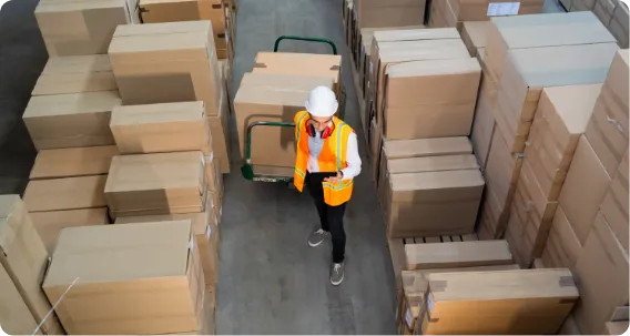Master of Arts in Logistics and Supply Chain Management image